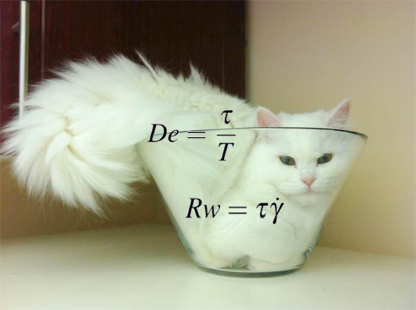 猫是牛顿流体 还是非牛顿流体？中科院严肃科普