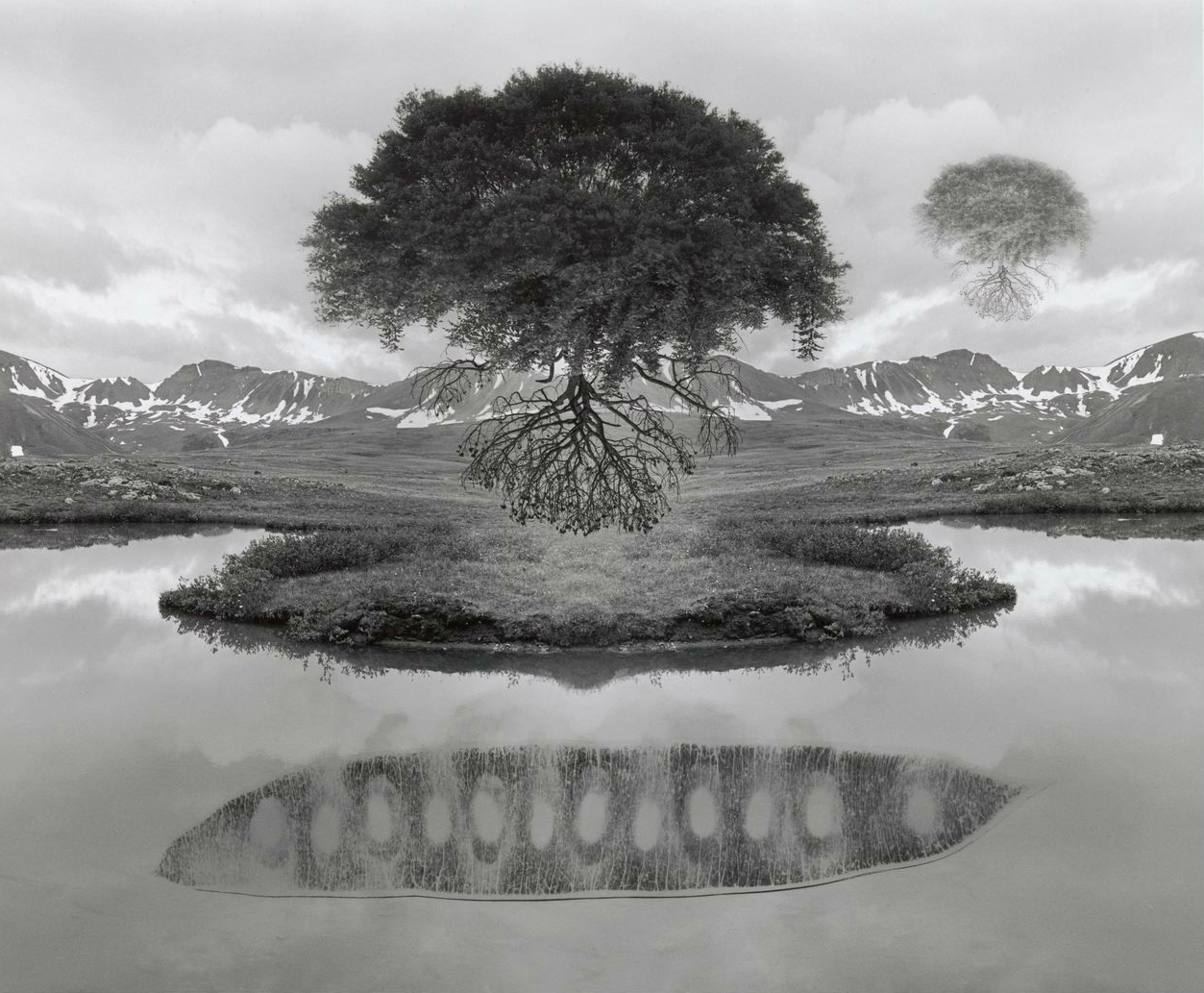 杰里·尤斯曼作品