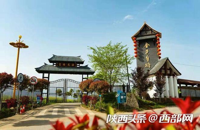 汉中市汉台区:油菜花开风光美,满目金黄百里香__凤凰网