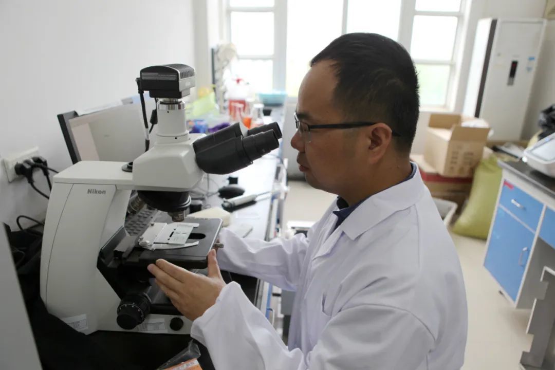 国际首次！中国青年科学家突破水稻低温减产难题！