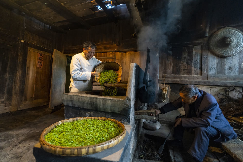 3月31日，制茶师（左）在四川省雅安市蒙顶山制作绿茶“蒙顶甘露”。新华社记者沈伯韩摄