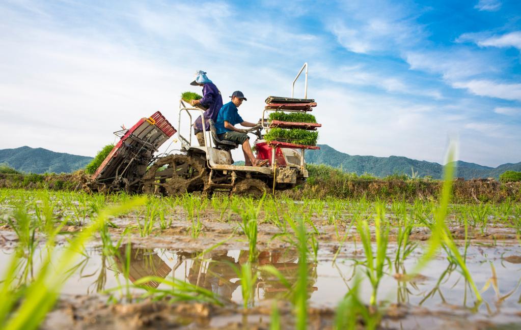4月12日,江西省九江市都昌县蔡岭镇杨湾村农民驾驶农机在田间劳作.