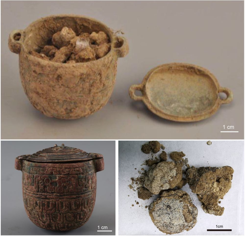 这是在刘家洼遗址一座中型贵族墓藏考古出土的青铜小罐和其中的残留物。（陕西省考古研究院供图）