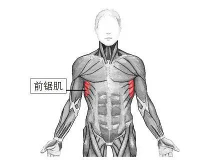 你听说过,史书中神秘记载"拳手肌肉"吗?__凤凰网