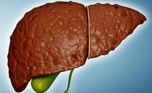 医生:1事做太多,肝就会变颜色__凤凰网