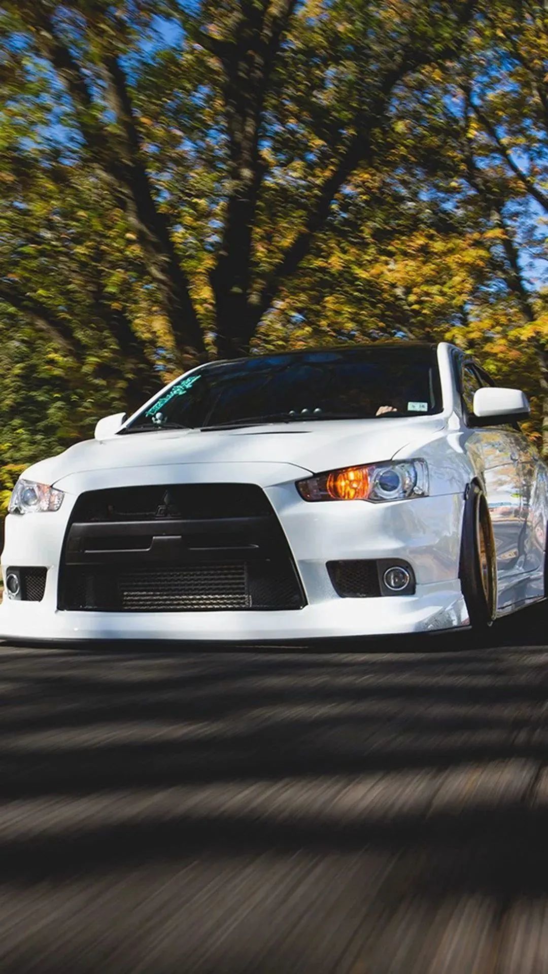 壁纸库evolution动人的名字