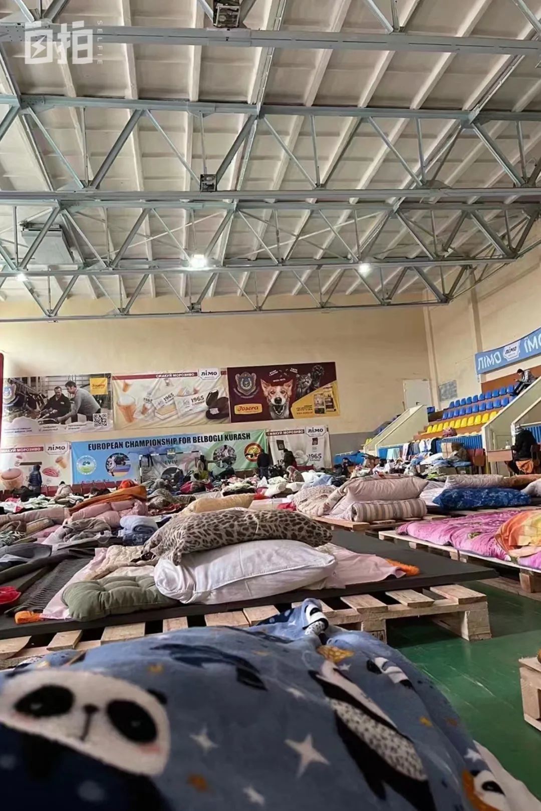 这是利沃夫难民营。