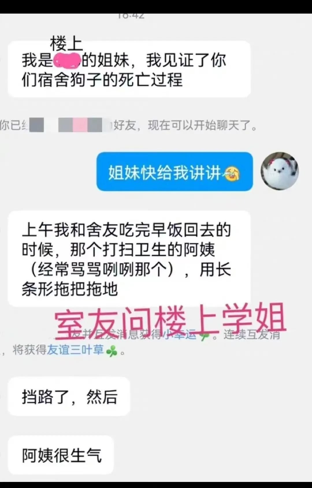 这才是当代大学生迷惑行为？
