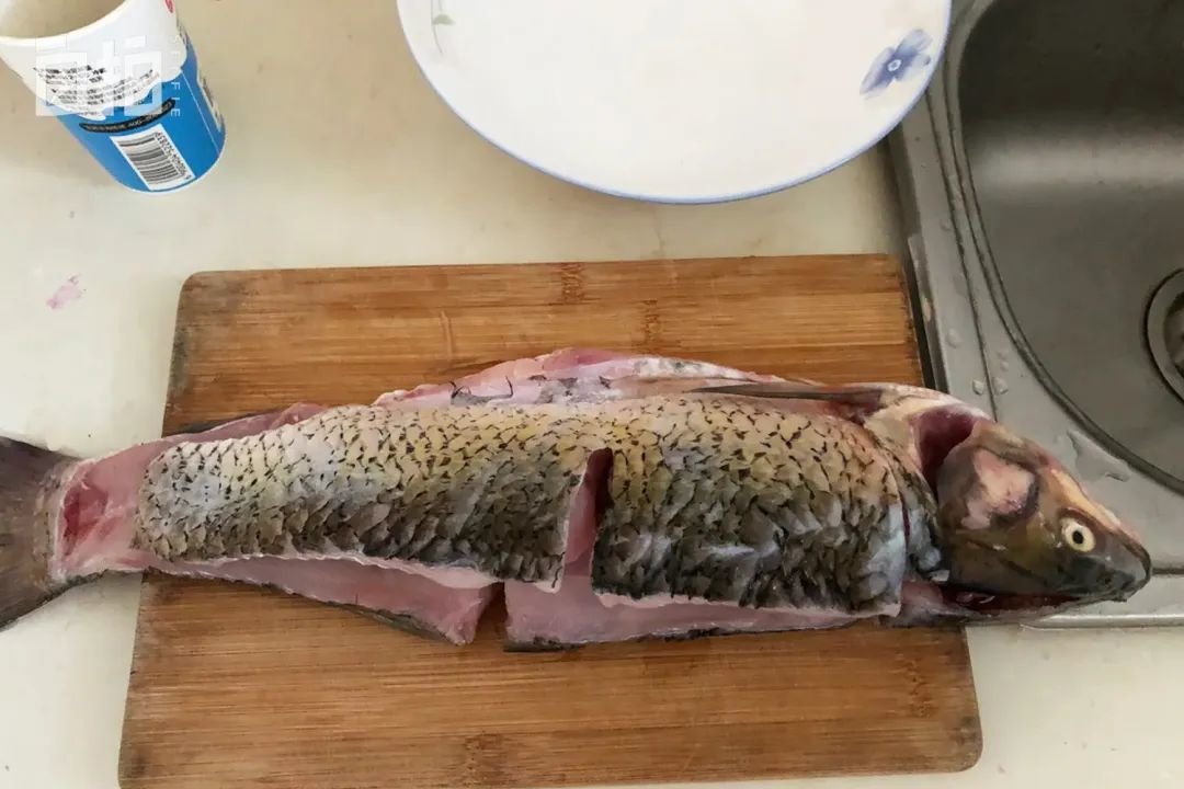 我一上午接了10单挣了五十块钱,买这条鱼才花了六块钱。