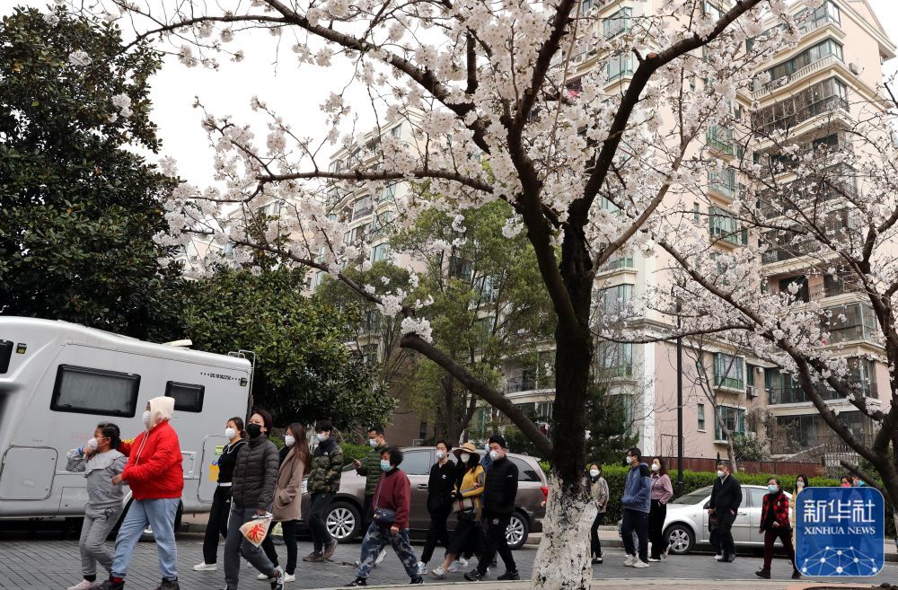 3月19日，上海康城的居民以楼栋为单位，前往检测现场。