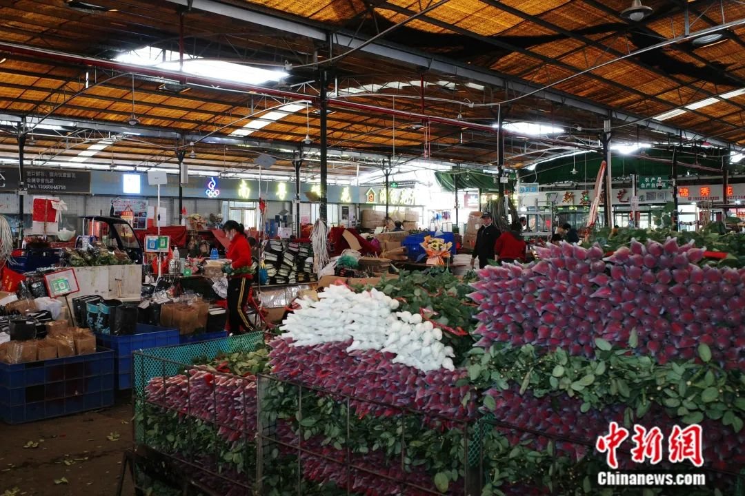 图为岭南花卉市场。中新社记者 陈楚红 摄