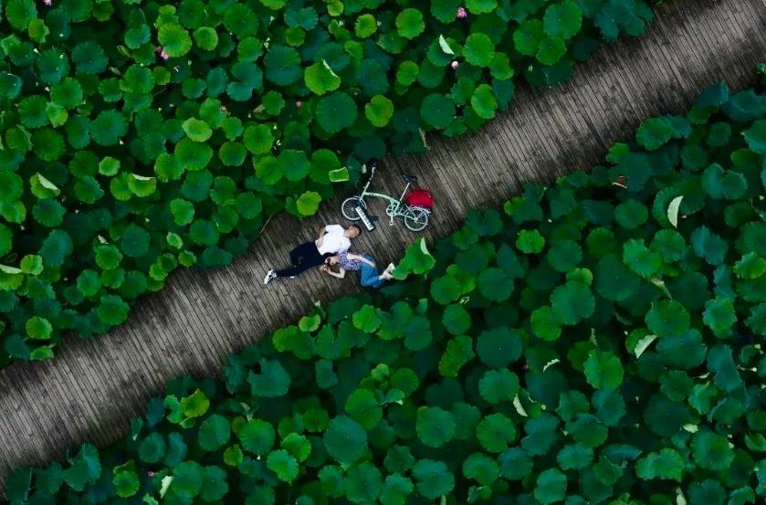 微信截图_20221015182259