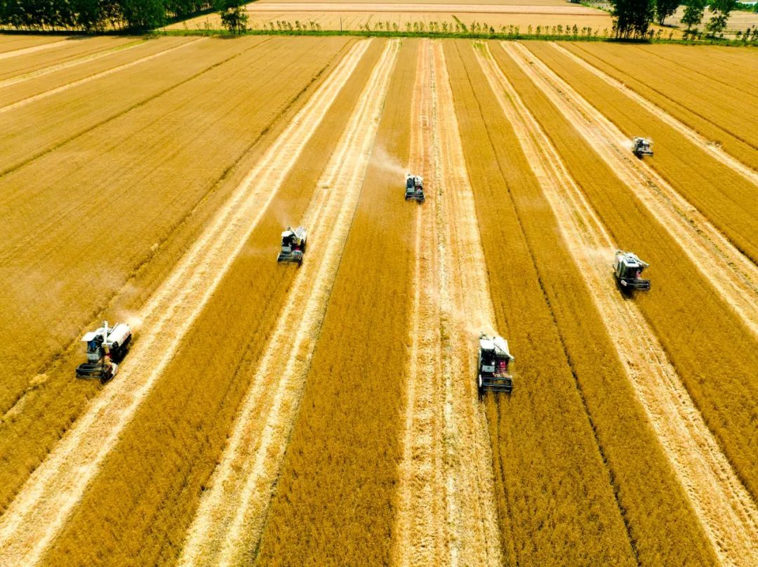 柴军伟摄(中经视觉)