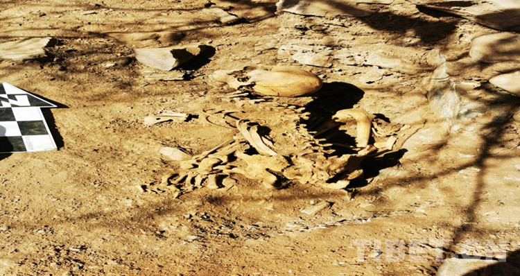 考古新发现：西藏昌都新发现7座暴露墓葬(图1)