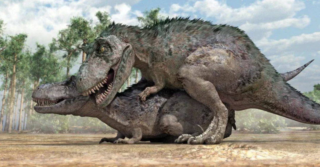 恐龙用什么体位性交，我们不得而知。有些人认为，雄性恐龙可能只骑在雌性恐龙身上，至于雌性恐龙如何规避碾压，我们一无所知。© Reddit