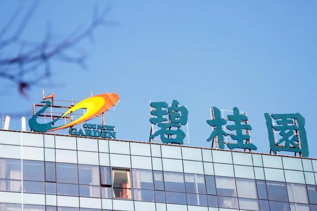 碧桂园评级被调至Ba1级，这属于什么档次？（碧桂园 等级）