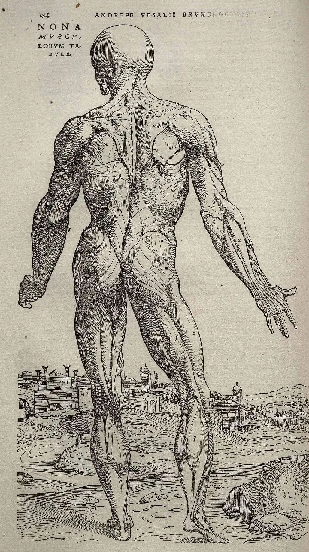 统考生物第二十二章微生物| PPTX, image size:1029x1835