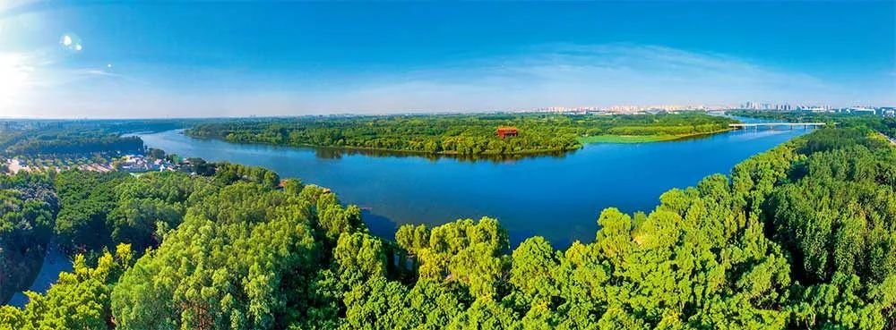北京市通州区的大运河森林公园（2022年6月26日摄）刘宇摄/本刊