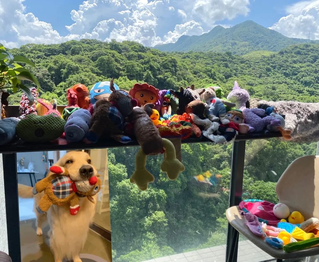 / 富贵的小部分玩具