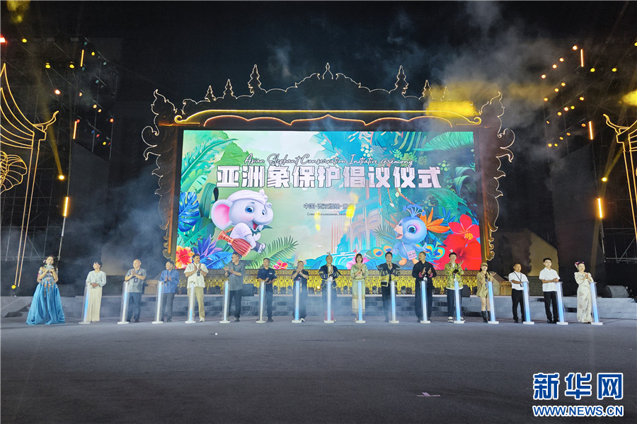 保护亚洲象倡议启动仪式(11月11日摄)。新华网 和润仙 摄
