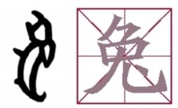 兔:代表月亮的可爱担当_凤凰网