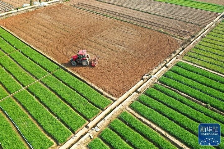 2月25日拍摄的蒲庙镇田园春色(无人机照片)。新华社记者 周华 摄