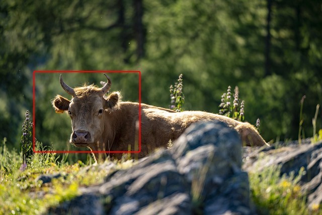 色彩、自然与人文的冲击 尼康Z 7Ⅱ一机三镜行摄大美新疆