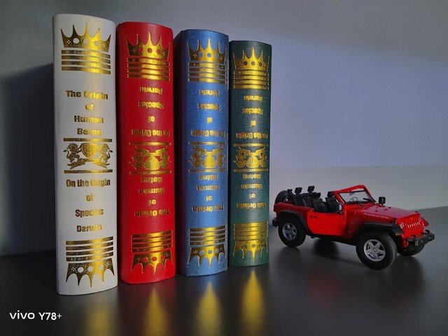 1599元搭载光学防抖 vivo Y78+影像实测