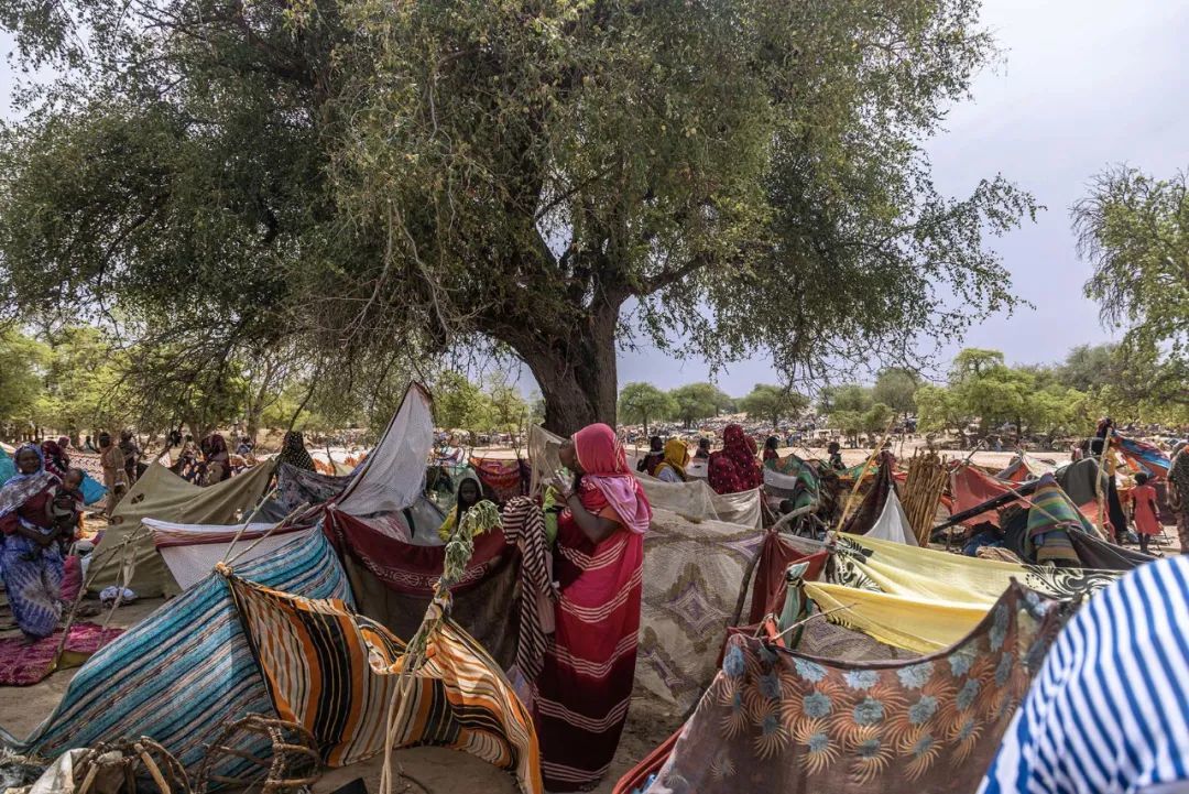 2023年5月10日，苏丹难民在乍得的博罗塔地区。苏丹内战导致苏丹西部达尔富尔地区出现新一轮的暴力浪潮，数万人逃往邻国乍得，那里正在出现新的人道主义危机（图源：纽约时报）