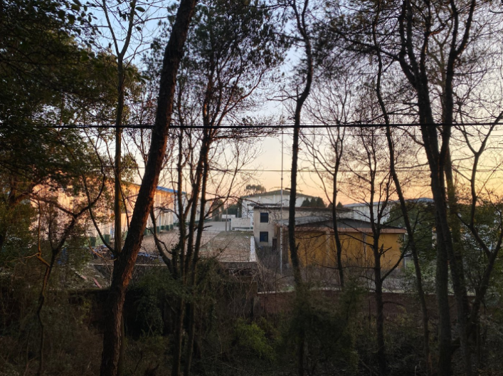 在金鸡山区域内的粮库中发现了胡鑫宇遗体。澎湃新闻记者 王选辉 何沛芸 图