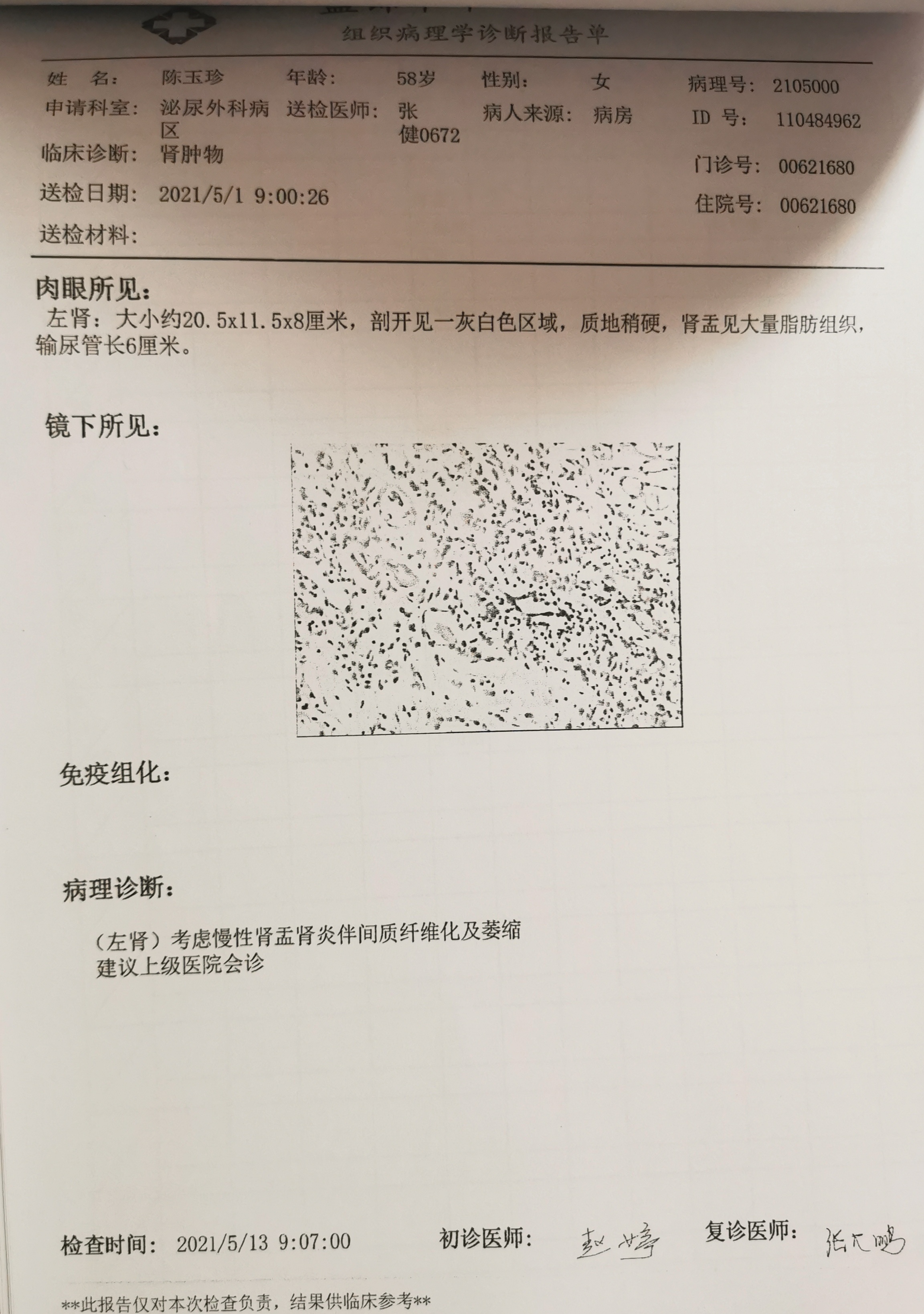 盘锦市中心医院的病理诊断报告 本文图片除标注外均为受访者提供