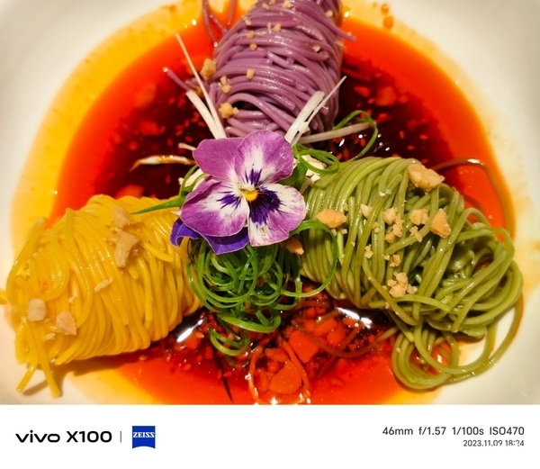 首发天玑9300旗舰芯,vivo X100带来满分旗舰体验