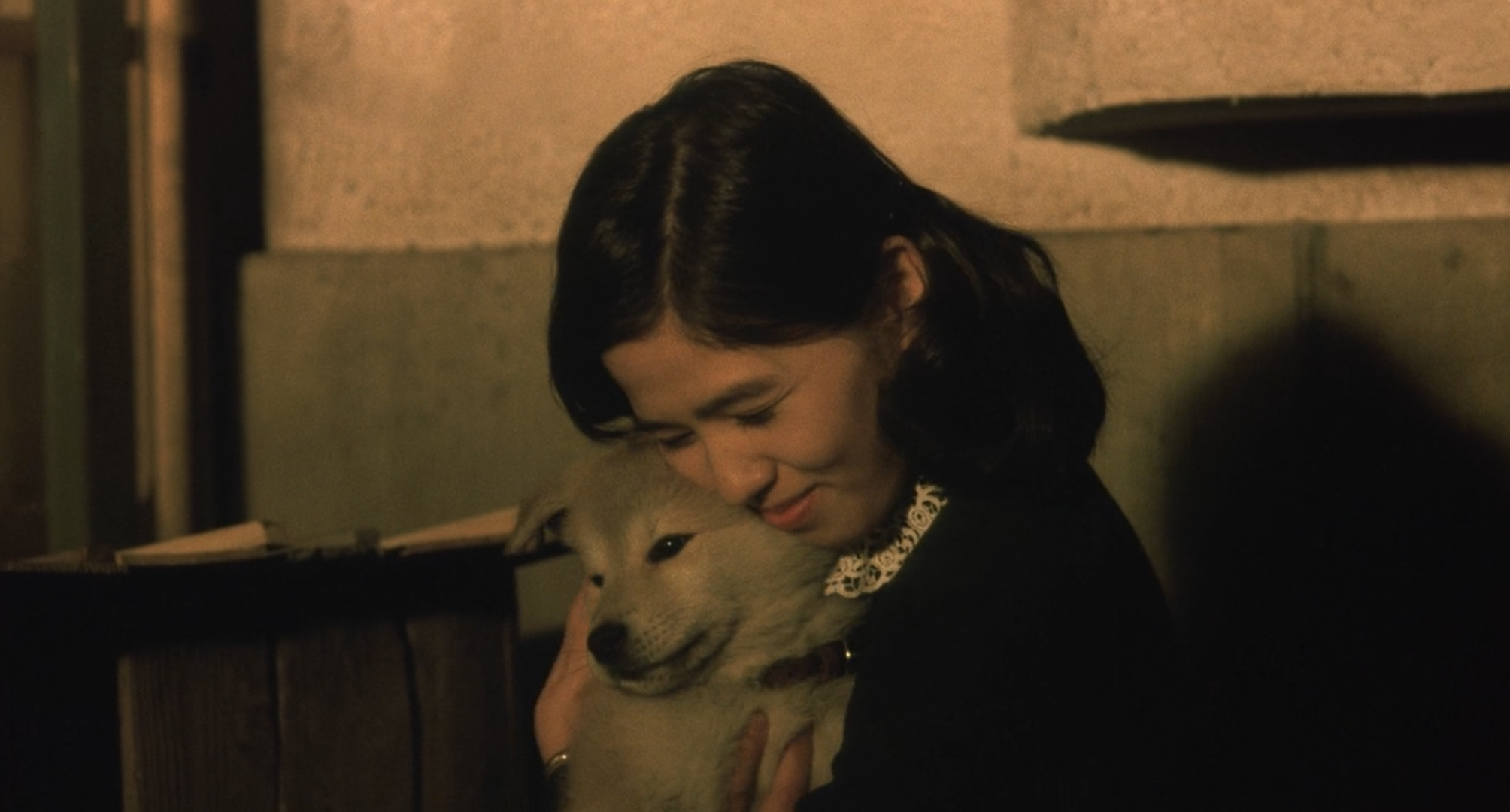 截屏2023-04-04 10.16.05.png