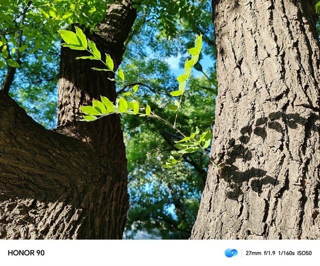 荣耀90全面评测:两千价位段也有写真级人像体验