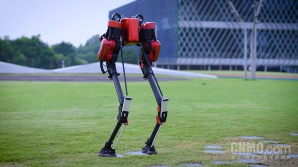 国内首款大尺寸仿鸵双足机器人“大圣”亮相 披红色战袍