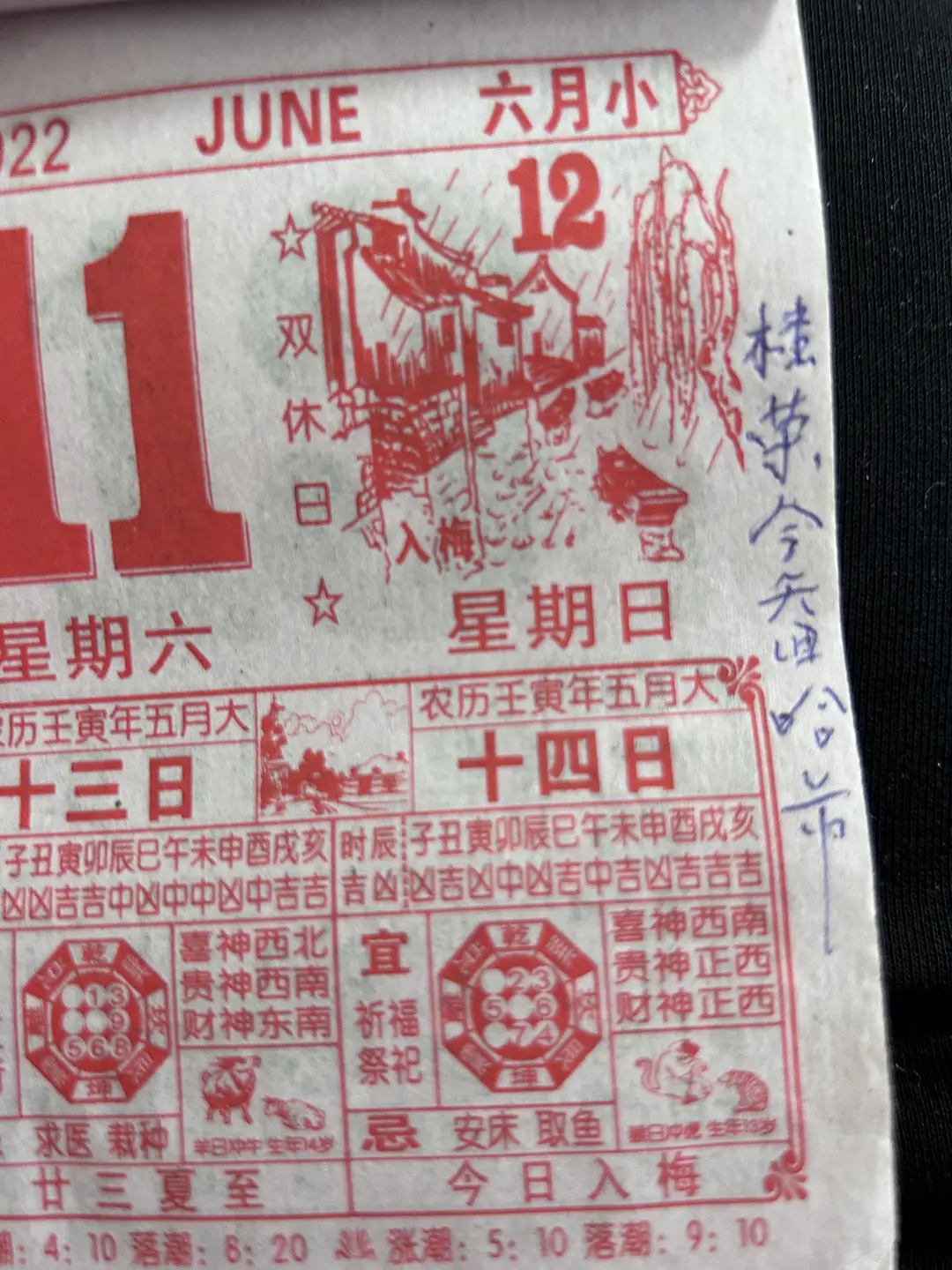 儿媳妇今天回家啦