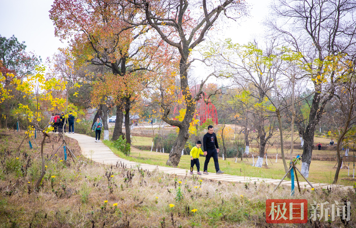游客在四姑镇赏红叶 通讯员 喻玲园 摄