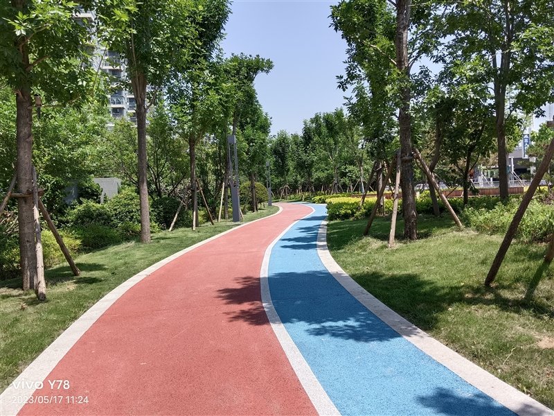 同价位独享绝世好屏! vivo Y78评测:解锁千元级新体验