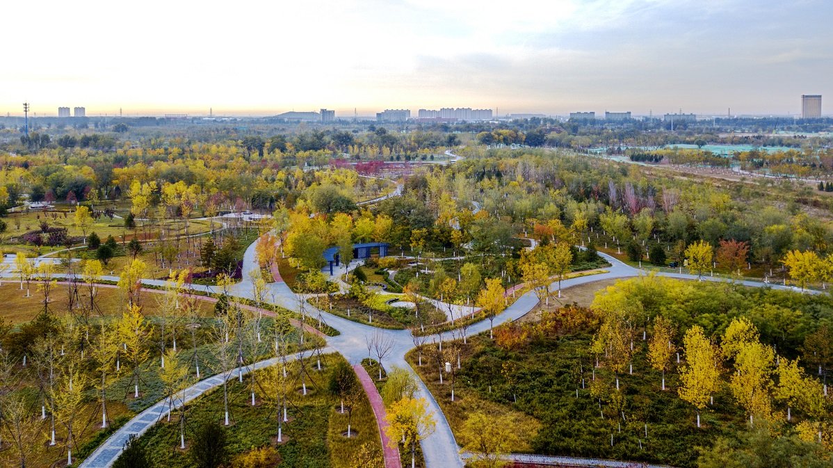 北京通州绿心公园图片图片