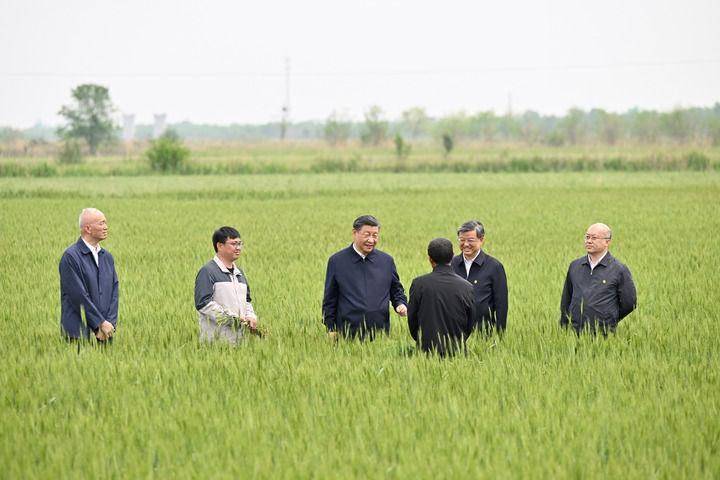 5月11日至12日，中共中央總書記、國傢主席、中央軍委主席習近平在河北考察，並主持召開深入推進京津冀協同發展座談會。這是11日上午，習近平在滄州市黃驊市舊城鎮仙莊片區旱堿地麥田考察時，同種植戶、農技專傢親切交流。新華社記者 殷博古 攝