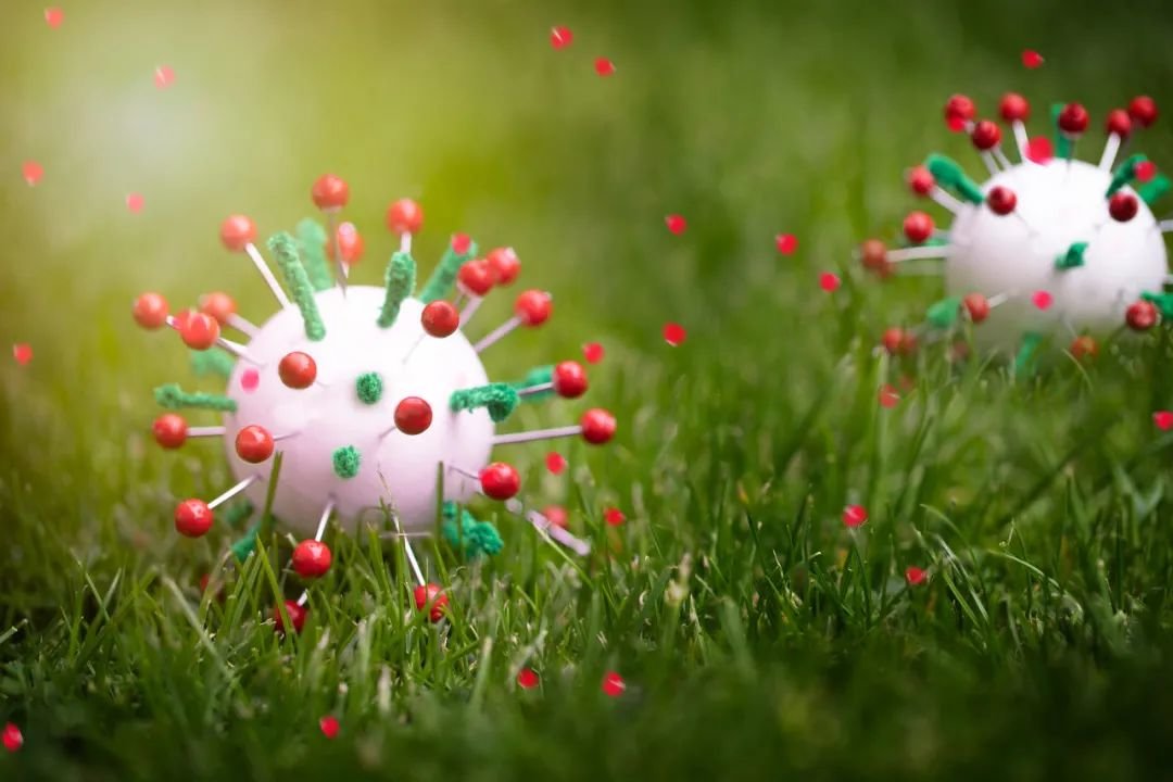 图库版权图片,不授权转载