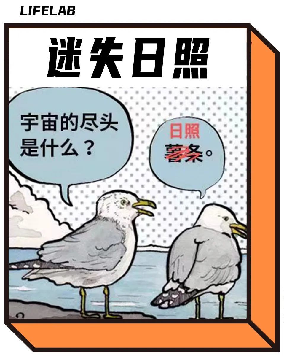 图片来自：@芦苇foto