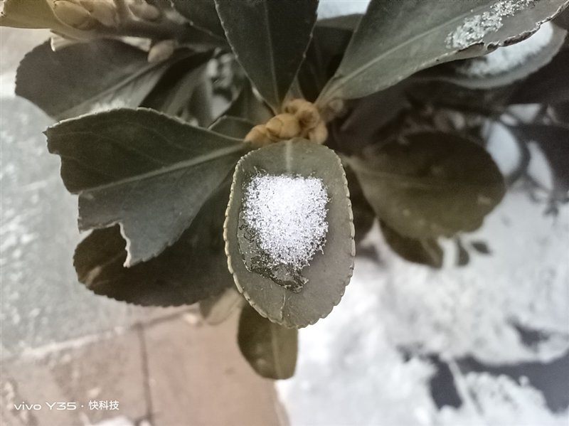 长续航兼顾大内存!vivo Y35评测:解锁千元级新体验