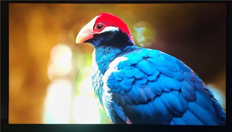 万元以内没有对手!小米电视 S Pro Mini LED 85寸评测:延迟接近于0 全屏亮度超900nit