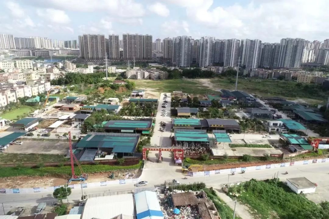 案涉“非法采矿”地点军塘山,现已成为花卉市场。张梦云 摄