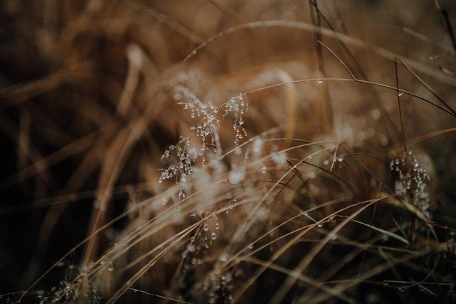 适马发布新镜头50mm F1.4 DG DN丨Art
