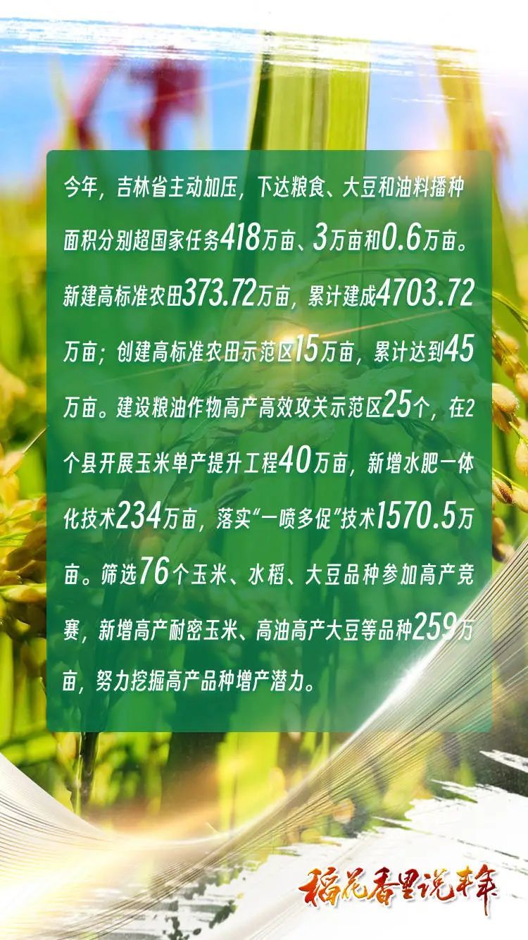 稻花香里说丰年丨吉林省再迎大丰收！粮食总产量预计850亿斤左右！