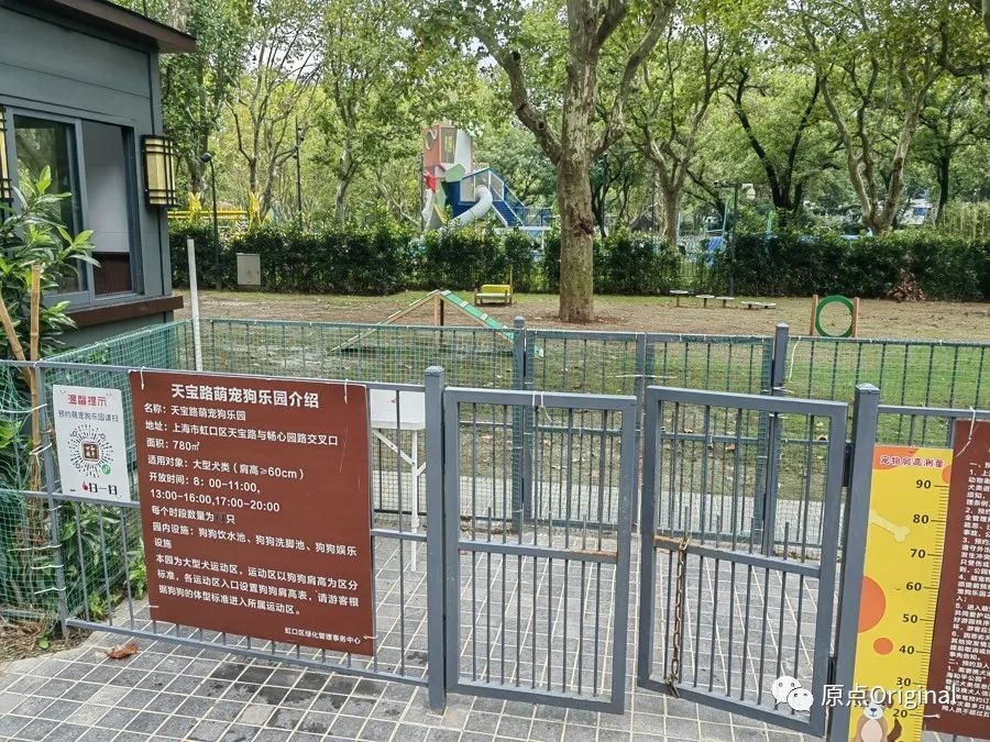 和平公园并未禁止养狗人士进入公园，而是在公园的一角为养狗人士开辟了萌宠狗乐园。郑子愚摄