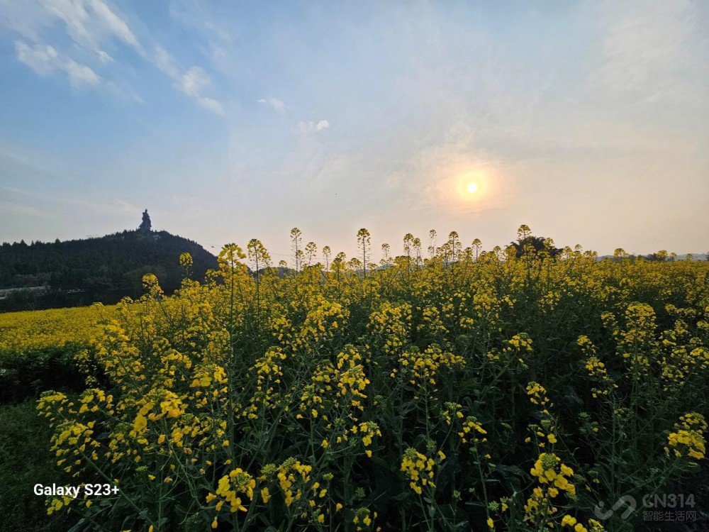 除了大小 三星Galaxy S23和S23+区别在哪