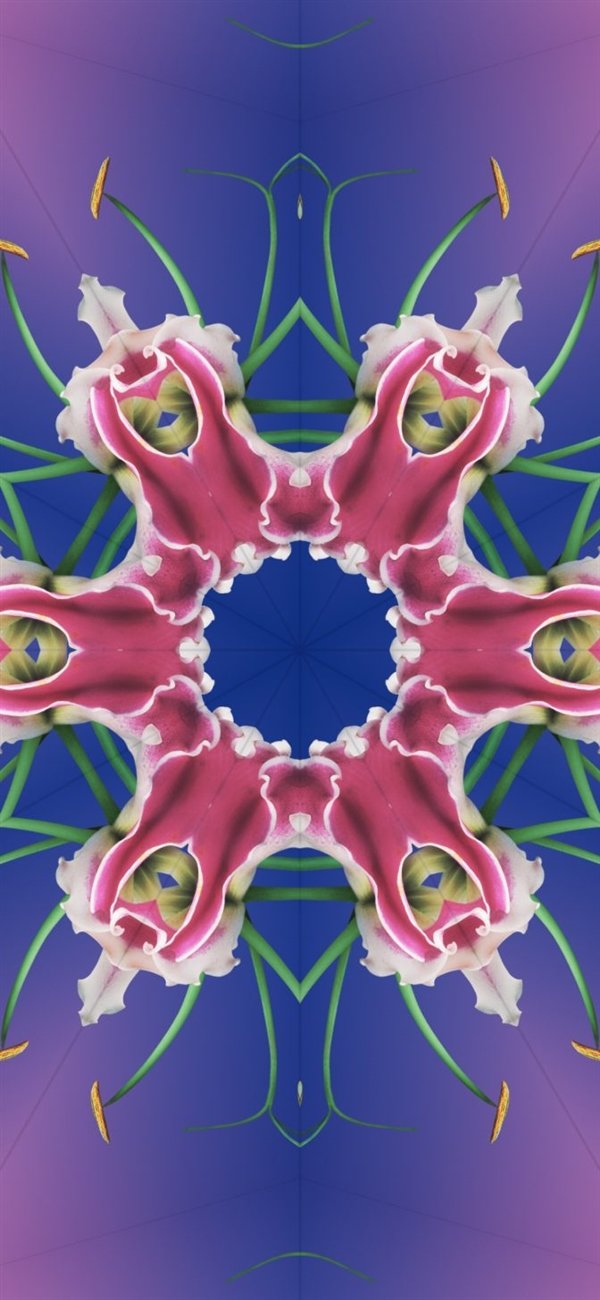 提前感受iPhone 15!iOS 17全新壁纸免费下载